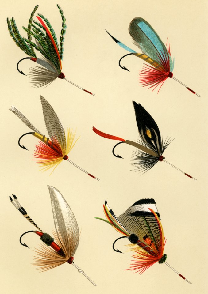 Lake Flies from Favorite Flies and Their Histories by Mary Orvis Marbury. Digitally enhanced from our own original publication.