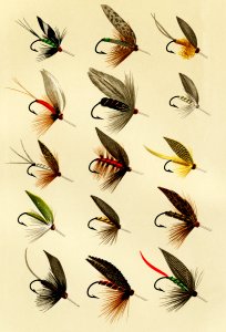 Trout Flies from Favorite Flies and Their Histories by Mary Orvis Marbury. Digitally enhanced from our own original 1892 Edition.