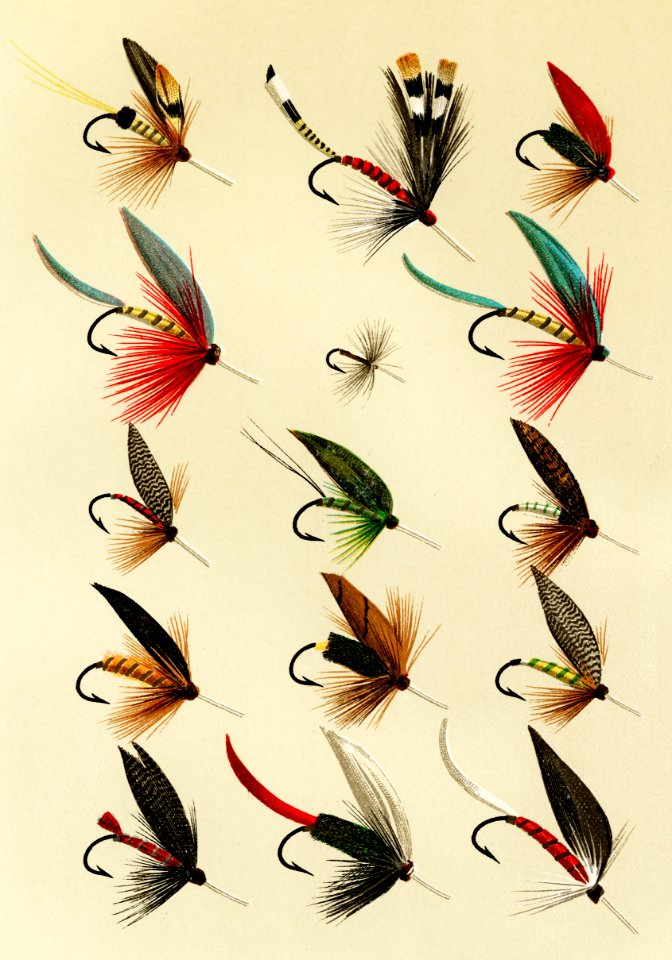Trout Flies from Favorite Flies and Their Histories by Mary Orvis Marbury. Digitally enhanced from our own original 1892 Edition.