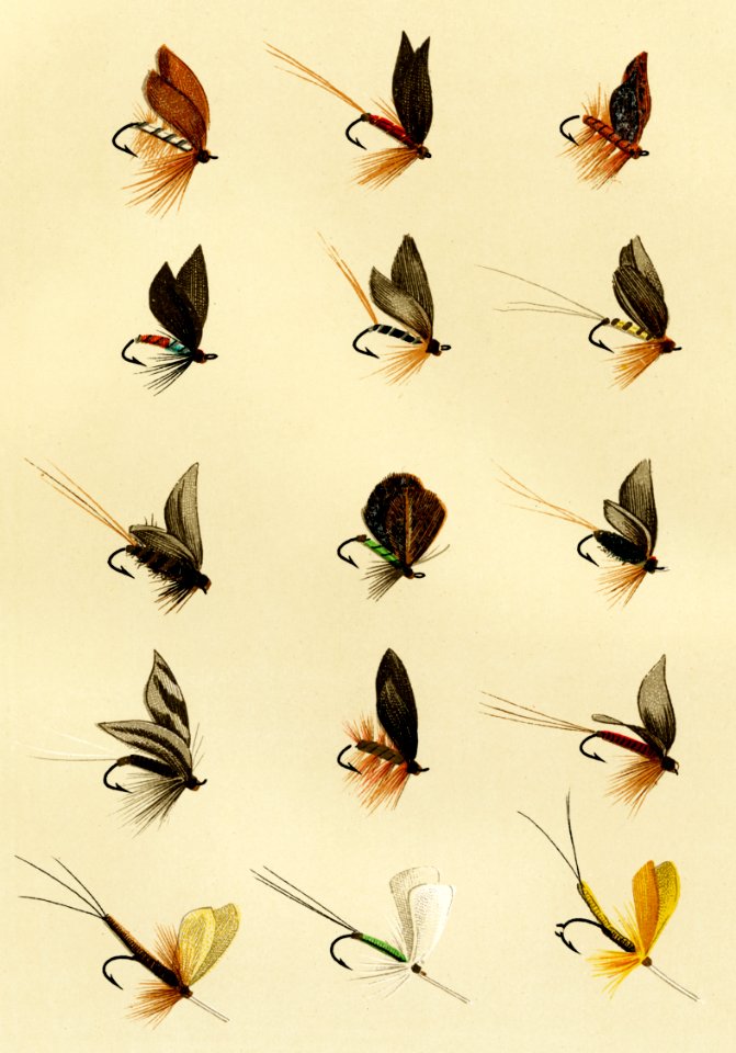 Trout Flies from Favorite Flies and Their Histories by Mary Orvis Marbury. Digitally enhanced from our own original 1892 Edition.