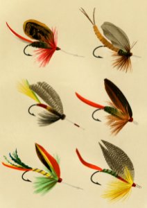 Bass Flies from Favorite Flies and Their Histories by Mary Orvis Marbury. Digitally enhanced from our own original 1892 Edition.. Free illustration for personal and commercial use.