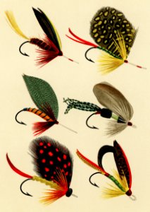 Bass Flies from Favorite Flies and Their Histories by Mary Orvis Marbury. Digitally enhanced from our own original 1892 Edition.. Free illustration for personal and commercial use.