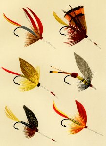 Lake Flies from Favorite Flies and Their Histories by Mary Orvis Marbury. Digitally enhanced from our own original 1892 Edition.. Free illustration for personal and commercial use.