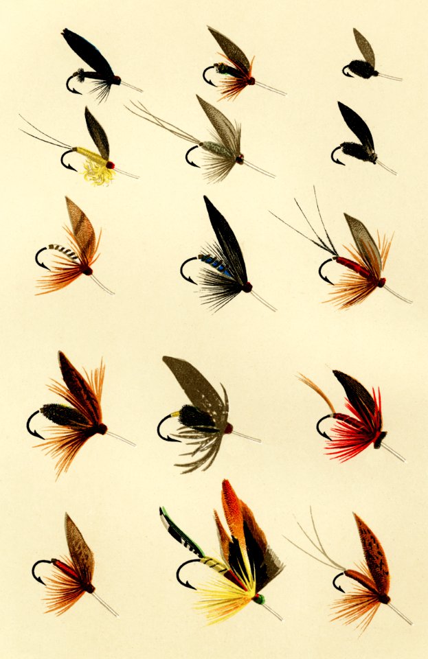 Trout Flies from Favorite Flies and Their Histories by Mary Orvis Marbury. Digitally enhanced from our own original 1892 Edition.