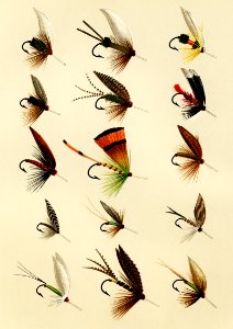 Trout Flies from Favorite Flies and Their Histories by Mary Orvis Marbury. Digitally enhanced from our own original 1892 Edition.