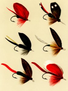 Bass Flies from Favorite Flies and Their Histories by Mary Orvis Marbury. Digitally enhanced from our own original 1892 Edition.