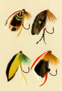 Trout & Bass Flies from Favorite Flies and Their Histories by Mary Orvis Marbury. Digitally enhanced from our own original 1892 Edition.. Free illustration for personal and commercial use.