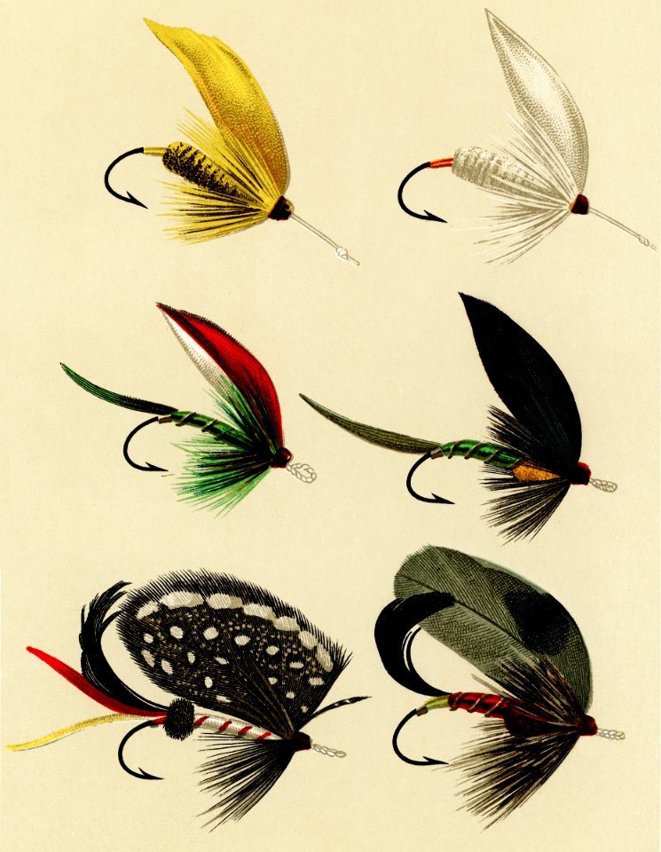 Bass Flies from Favorite Flies and Their Histories by Mary Orvis Marbury. Digitally enhanced from our own original 1892 Edition.