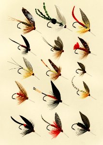 Trout Flies from Favorite Flies and Their Histories by Mary Orvis Marbury. Digitally enhanced from our own original 1892 Edition.