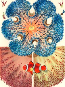 Barrier Reef Anemones from The Great Barrier Reef of Australia (1893) by William Saville-Kent (1845-1908). Digitally enhanced from our own original edition.