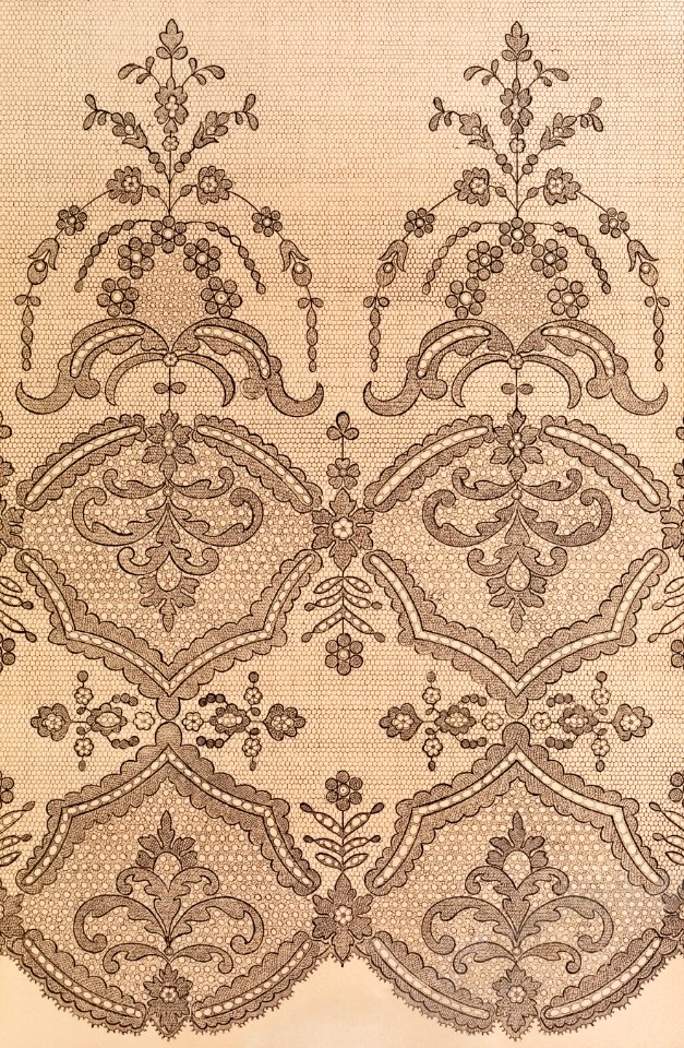 Black lace flounce from the Industrial arts of the Nineteenth Century (1851-1853) by Sir Matthew Digby wyatt (1820-1877).