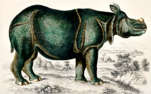 Rhinoceros from A history of the earth and animated nature (1820) by Oliver Goldsmith (1730-1774). Digitally enhanced from our own original edition.. Free illustration for personal and commercial use.