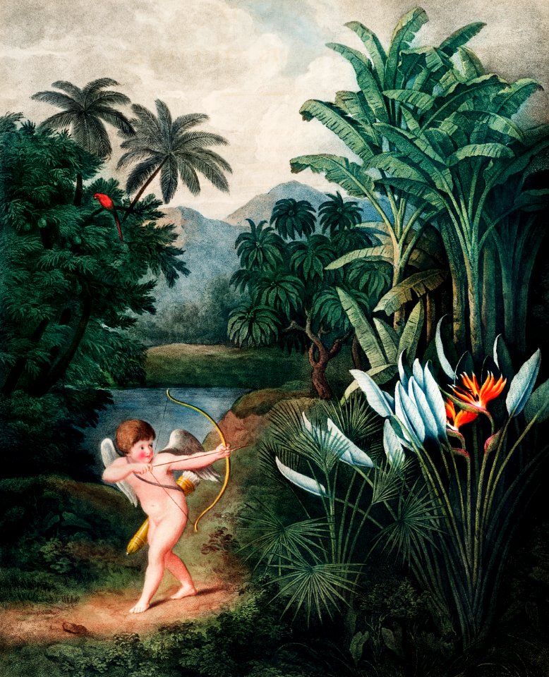 Cupid Inspiring Plants with Love from The Temple of Flora (1807) by Robert John Thornton.