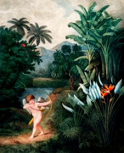 Cupid Inspiring Plants with Love from The Temple of Flora (1807) by Robert John Thornton.. Free illustration for personal and commercial use.