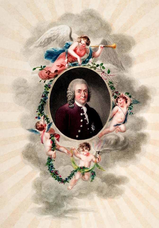 The Portrait of Carl Linnaeus from The Temple of Flora (1807) by Robert John Thornton.