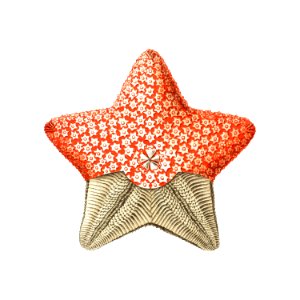 Vintage starfish marine life illustration. Free illustration for personal and commercial use.