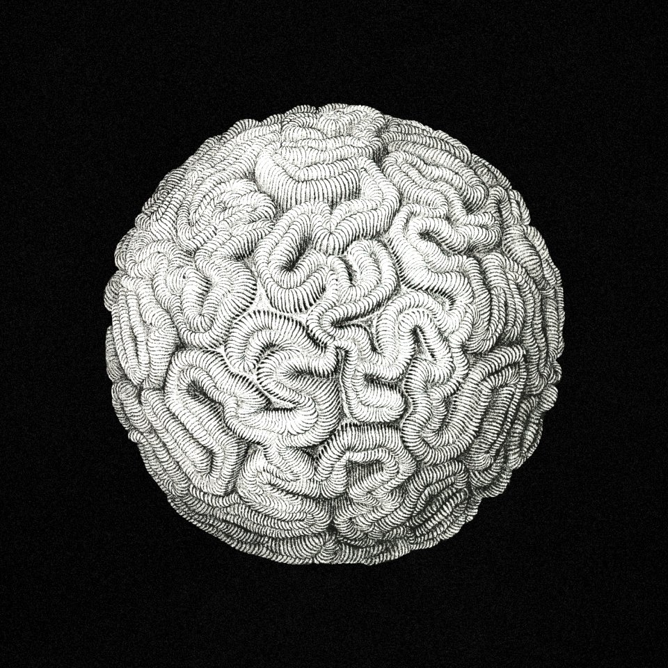 Vintage coral marine life illustration