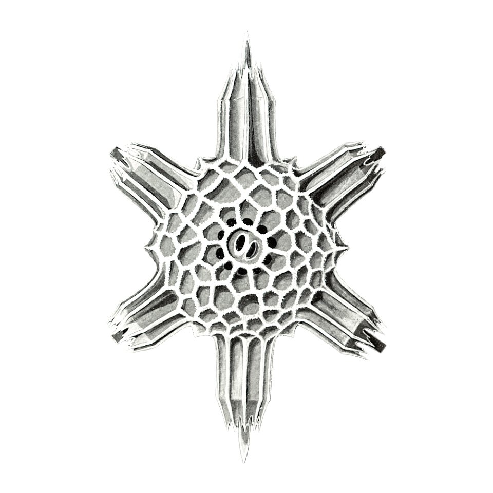 Vintage marine life illustration on white background