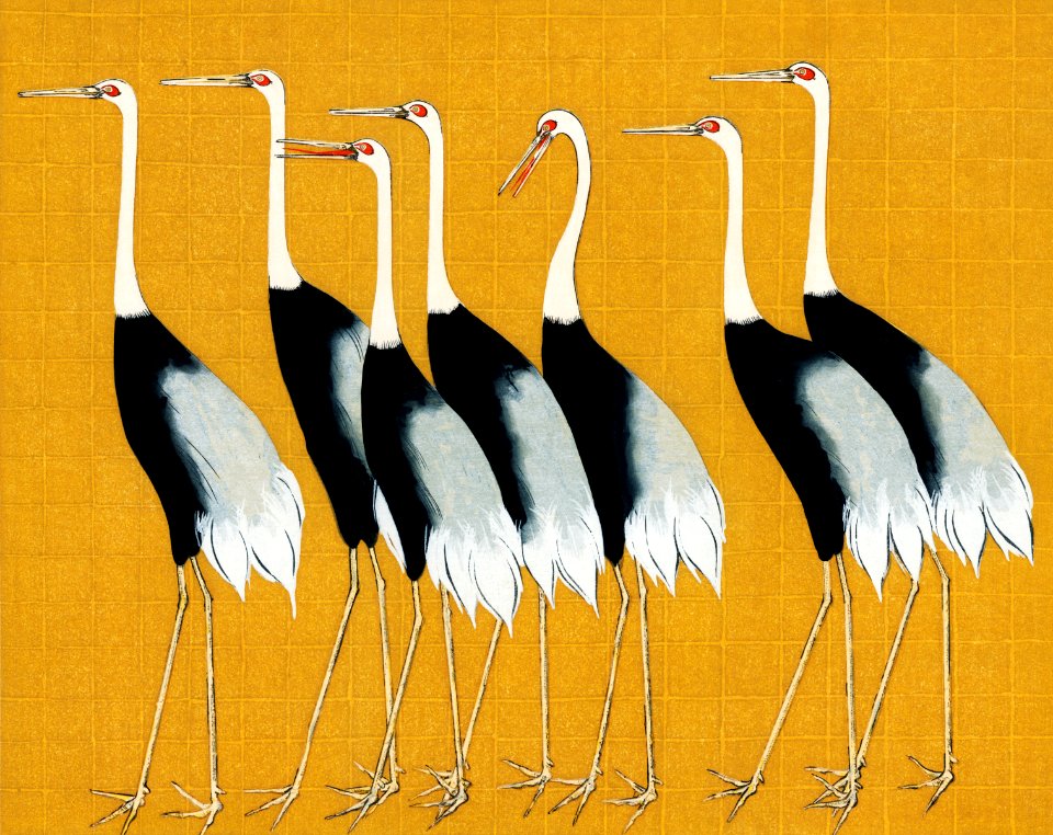A traditional portrait of a flock of beautiful Japanese red crown crane by Ogata Korin (1658-1716). Digitally enhanced from our own antique plate.