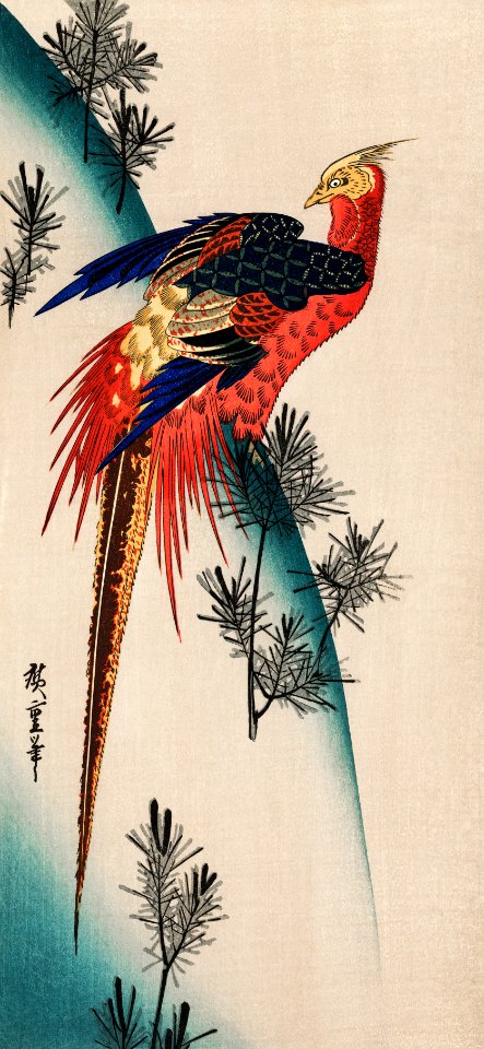 The ukiyo-e illustration, Pheasant & Small Pine by Utagawa Hiroshige also known as Ando Hiroshige (1797-1858), a portrait of a majestically vibrant pheasant. Digitally enhanced from our own antique plate.