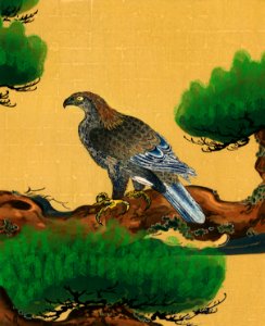 Pine and Eagle, a traditional portrait of a charismatic Japanese eagle by Kano Tanyu (1602-1674). Digitally enhanced from our own antique wood block plate.. Free illustration for personal and commercial use.