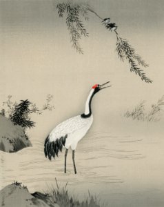 A traditional portrait of a beautiful Japanese crane by Kano Motonobu (1476-1559). Digitally enhanced from our own antique wood block print.