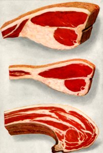 Beef Sirloins from the book, The Grocer’s Encyclopedia (1911). Digitally enhanced from tour own original antique plate.