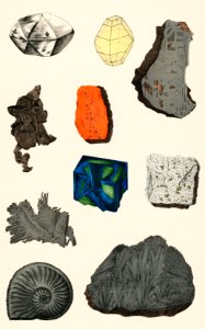 Natural History concept print (1880) by Emil Hochdanz (1816-1855), a collection of colorful gemstones. Digitally enhanced from our own original chromolithographic plate.