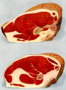 Beef Sirloins from the book, The Grocer’s Encyclopedia (1911). Digitally enhanced from our own original plate.. Free illustration for personal and commercial use.