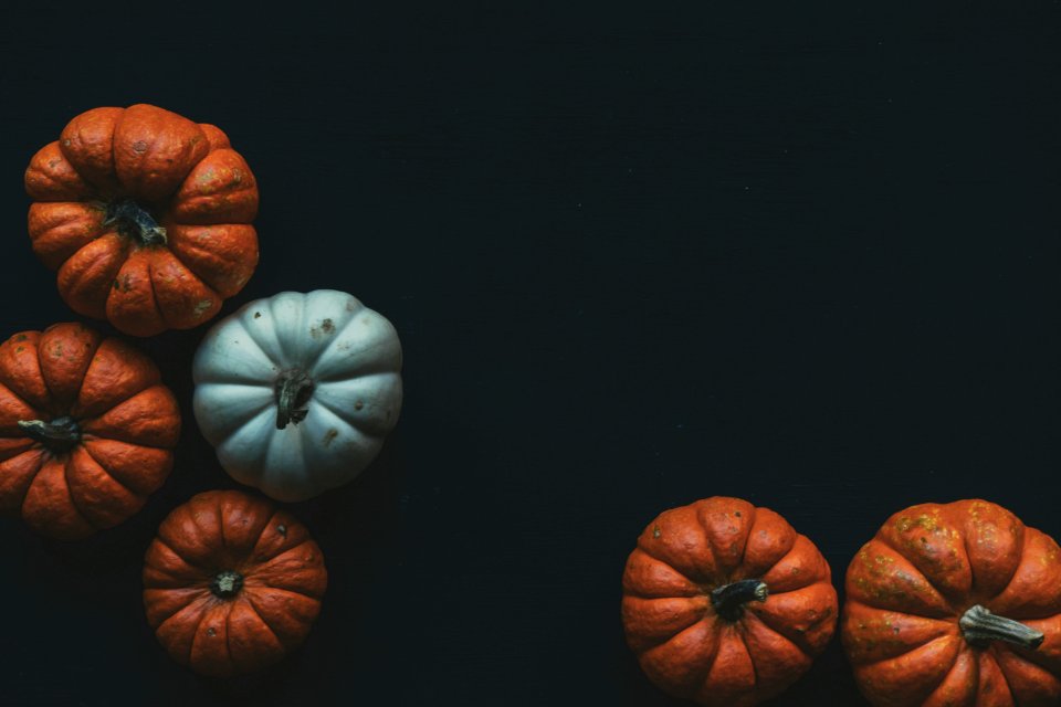 Variety of pumpkins on black background