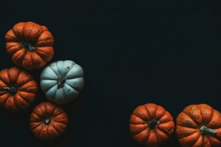 Variety of pumpkins on black background. Free illustration for personal and commercial use.