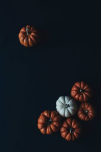 Variety of pumpkins on black background