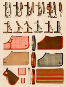 A chromolithograph of horseback riding equipments design showcase from an antique horseback riding catalog (1890). Digitally enhanced from our own original plate.. Free illustration for personal and commercial use.