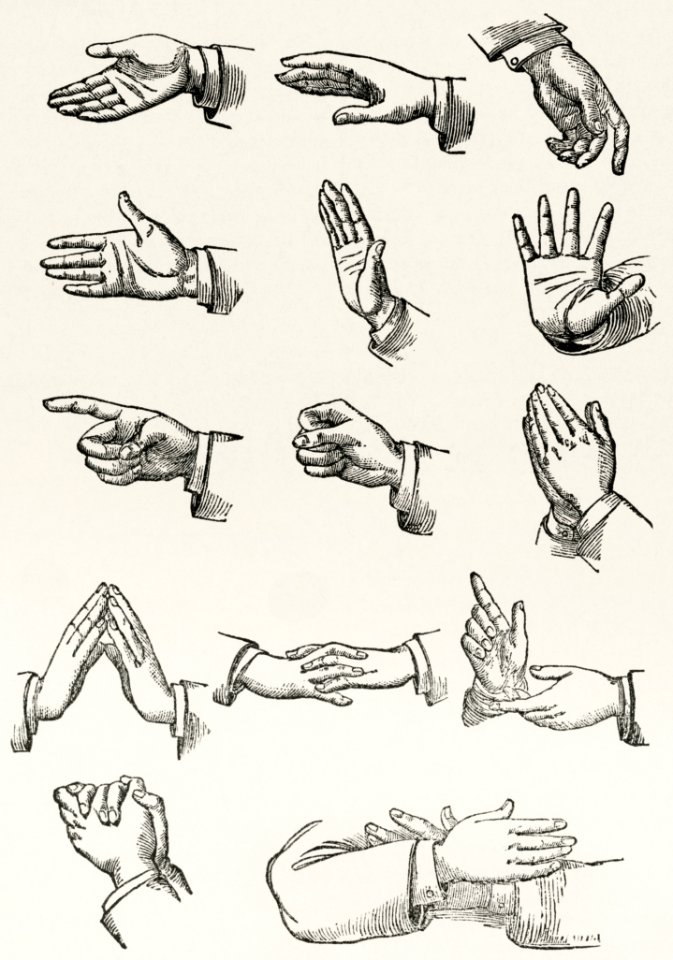 Morning hand gestures! #gestures #hands #handgestures #drawing  #humananatomy #gottogetbetter #figuredrawing #doodles #sketches  #linework... | Instagram