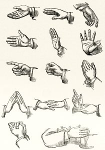 Positions of the Hands (1910) from the work of Joseph Gibbons Richardson (1836-1886). Drawings of hand gestures for sign language. Digitally enhanced from the original plate.