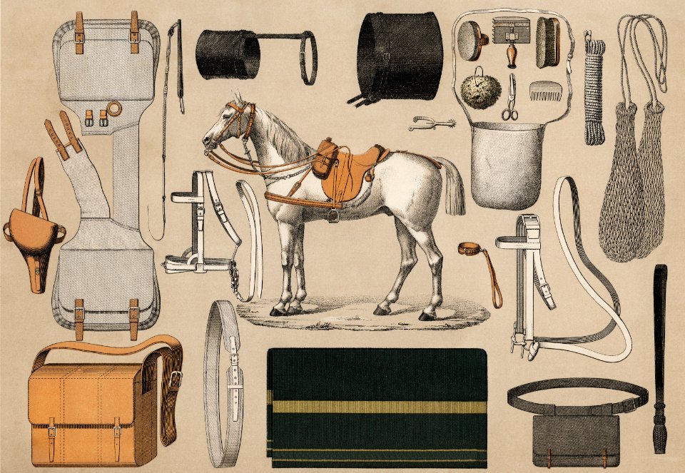 A chromolithograph of horses with antique horseback riding equipments (1890), from an antique horseback riding catalog. Digitally enhanced from our own original plate.. Free illustration for personal and commercial use.