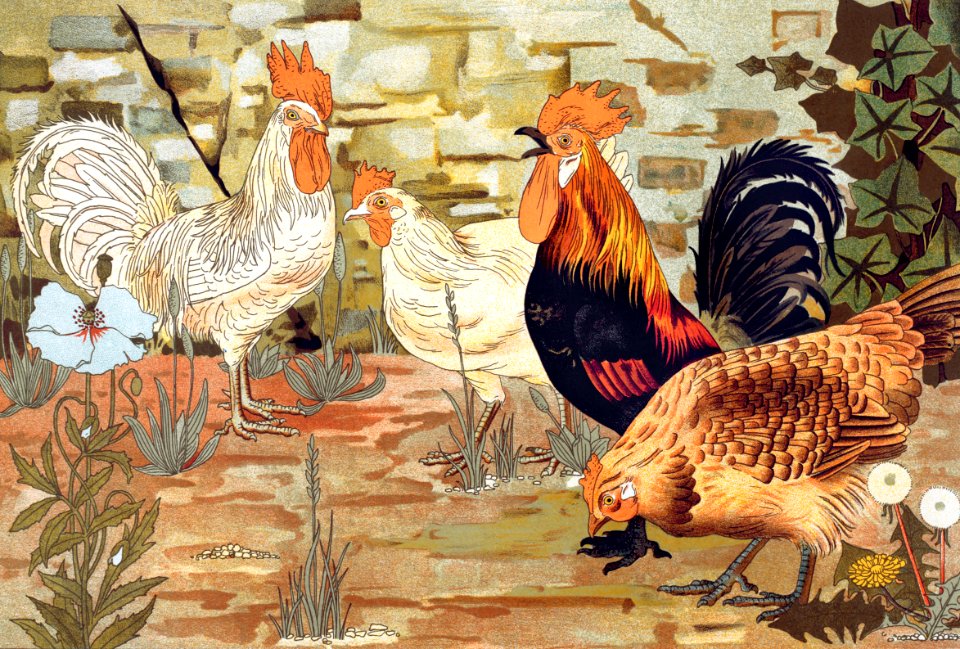 Coqs et poules from L'animal dans la décoration (1897) illustrated by Maurice Pillard Verneuil.