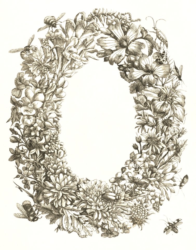 Bloemenrand met insecten (1657–1717) by Maria Sibylla Merian.
