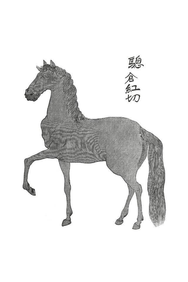 Horse Illustration from Narrative of the Expedition of an American Squadron to the China Seas and Japan, performed in the years 1852, 1853 and 1854, under the command of Commodore M. C. Perry (1856) by Francis Lister Hawks.