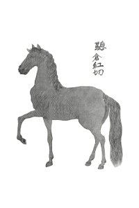Horse Illustration from Narrative of the Expedition of an American Squadron to the China Seas and Japan, performed in the years 1852, 1853 and 1854, under the command of Commodore M. C. Perry (1856) by Francis Lister Hawks.. Free illustration for personal and commercial use.