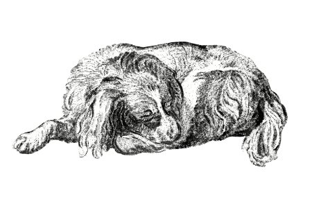 Lying dog (1777) by Cornelis Ploos van Amstel.