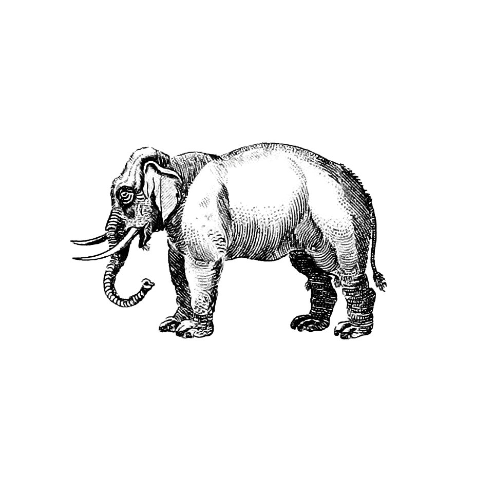 Vintage European style elephant engraving by Oliver Goldsmith (1775).. Free illustration for personal and commercial use.