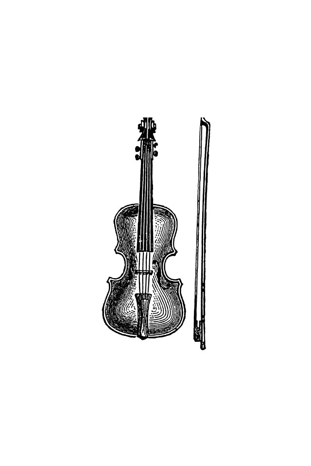 Vintage European style violin engraving.