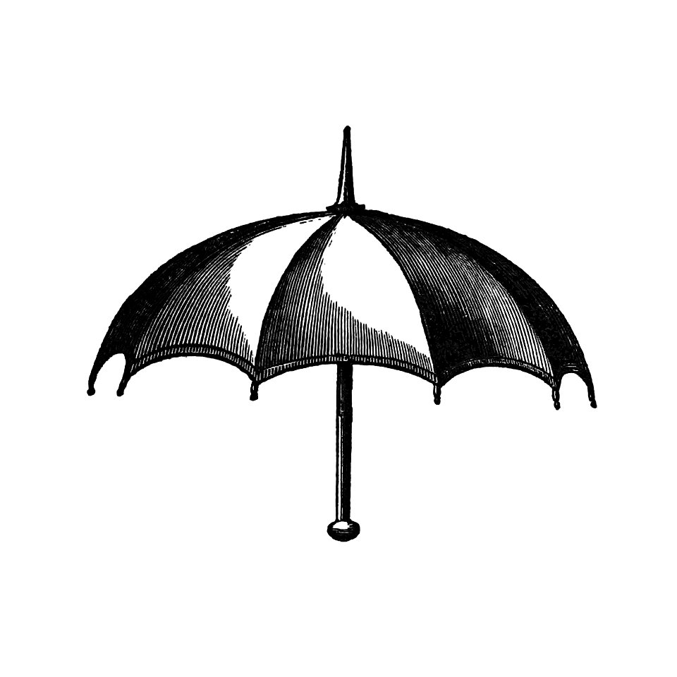 Vintage European style umbrella engraving from Bentley's Ancient and Modern History of Worcestershire; to which is added an alphabetical list of 1,500 of the nobility, gentry, clergy, and other inhabitants by Joseph Bentley (1842).