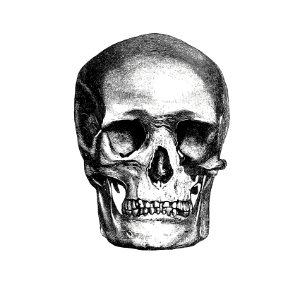 Vintage European style skull engraving from Annals of Winchcombe and Sudeley by Emma Dent (1877).