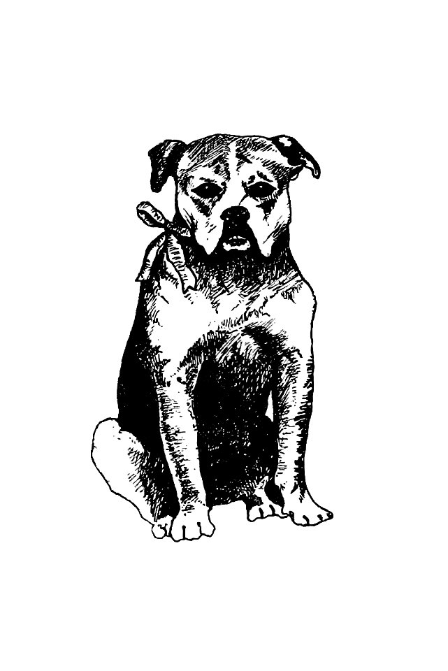 Vintage European style dog engraving from The New Hyperion. From Paris to Marly by Way of the Rhine by Edward Strahan (1875).