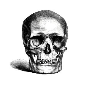 Vintage European style skull engraving from Annals of Winchcombe and Sudeley by Emma Dent (1877).