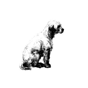 Vintage European style dog engraving by Philozoia, or, Moral reflections on the actual condition of the animal kingdom, and on the means of improving the same by Thomas Ignatius M. Forster (1839).. Free illustration for personal and commercial use.