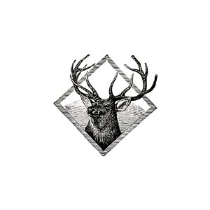 Vintage European style deer head framed illustration from The Queen's Jubilee and Toronto Called Back from 1887 to 1847. This Revised Edition Contains the Progress of the City from 1886 to 1887, Etc by Conyngham Crawford Taylor (1887).. Free illustration for personal and commercial use.
