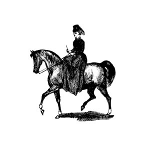 Vintage European style horseback riding of a lady engraving from London (illustrated). A complete guide to the leading hotels, places of amusement. Also a directory of first-class reliable houses in the various branches of trade by Anonymous (1872).. Free illustration for personal and commercial use.